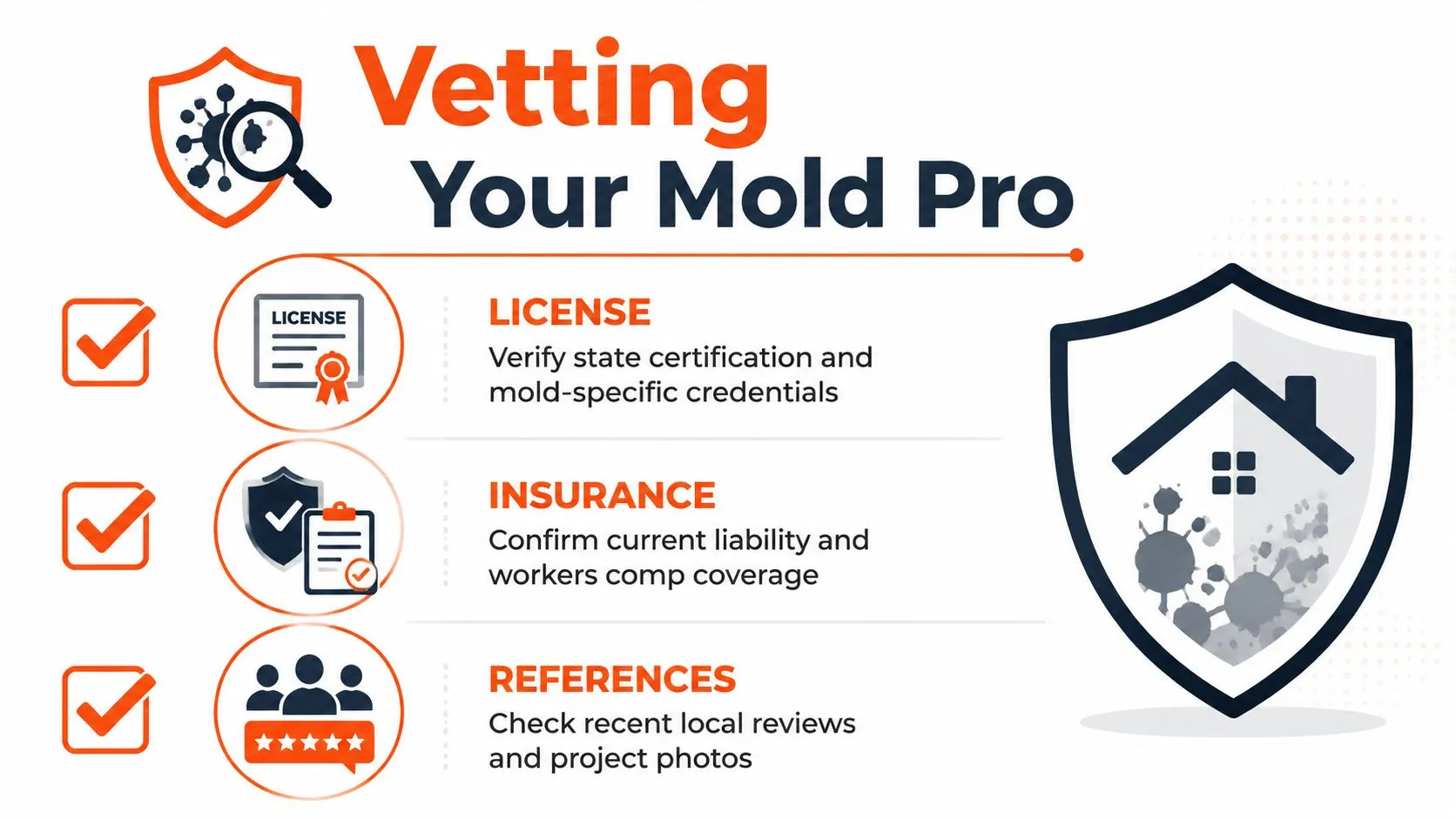 A helpful infographic guide outlining three key steps to vet professional mold remediation companies for safety.